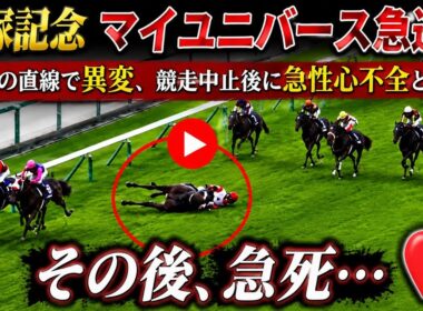 【宝塚記念】マイユニバース急逝…最後の直線で異変、競走中止後に急性心不全と判明 🐎💔