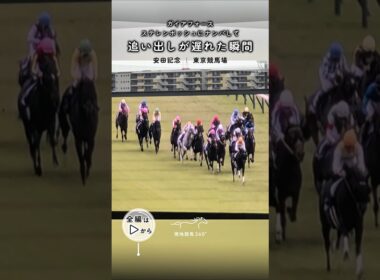 ナンパ師ガイアフォース｜安田記念 東京競馬場 #競馬 #現地映像 #ガイアフォース #シェケナ #ステレンボッシュ #ナンパ