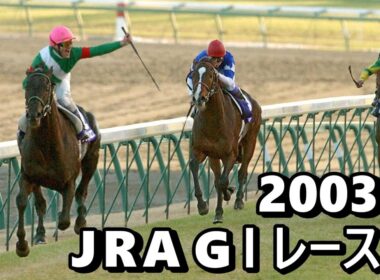 【データ付き】2003年 JRA G１ レース集