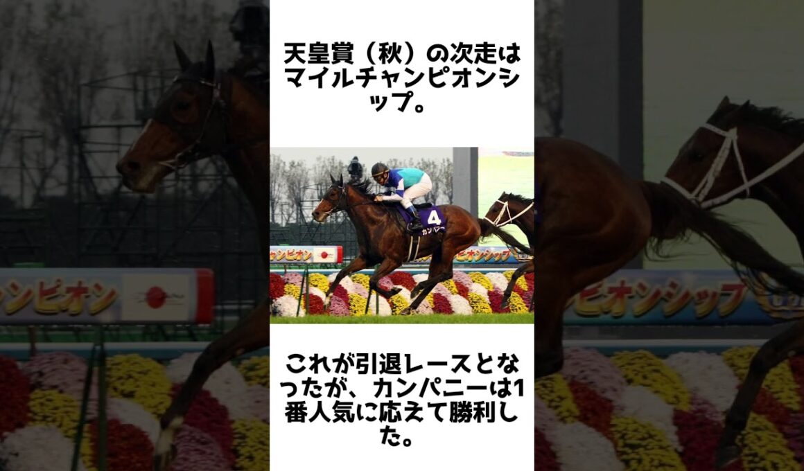 8歳で頂点に立った遅咲き王！カンパニーの雑学5選 #競馬 #shorts #1分雑学 #馬 #カンパニー