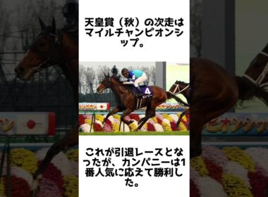8歳で頂点に立った遅咲き王！カンパニーの雑学5選 #競馬 #shorts #1分雑学 #馬 #カンパニー