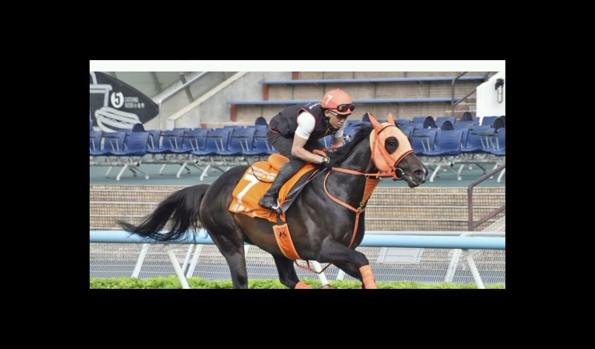 マイル王ジャンタルマンタルが電撃引退！伝説のGⅠ4勝馬が第二の馬生へ