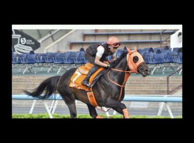 マイル王ジャンタルマンタルが電撃引退！伝説のGⅠ4勝馬が第二の馬生へ