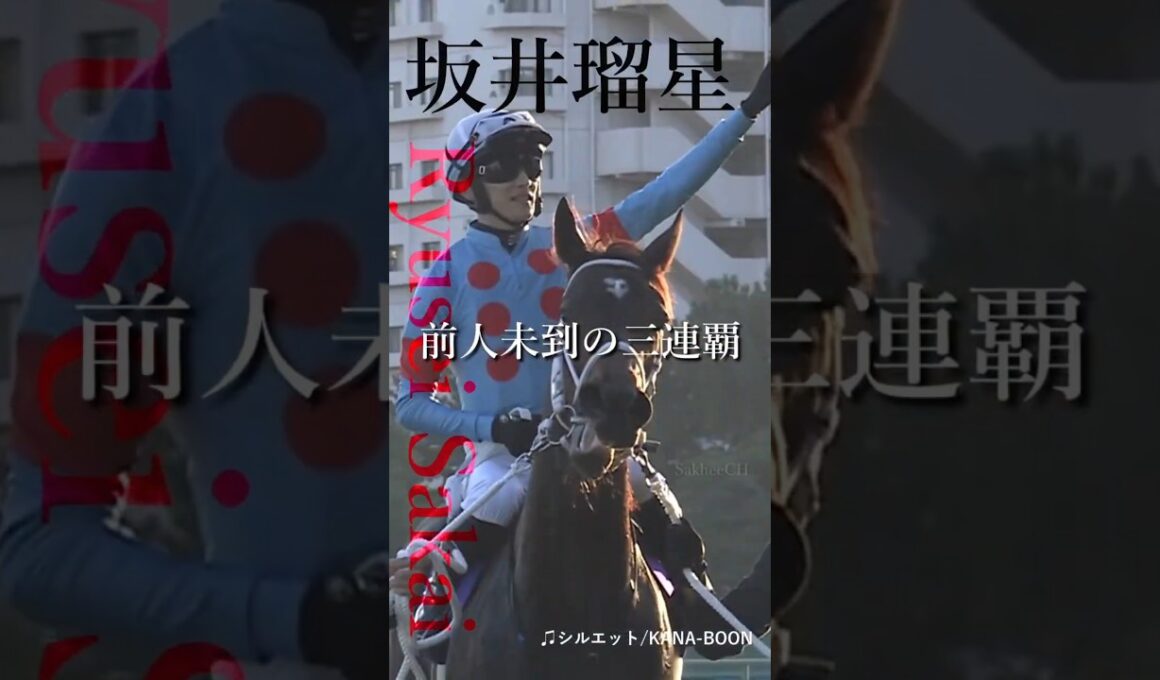 競馬 チャンピオンズカップ～シルエット～  #競馬