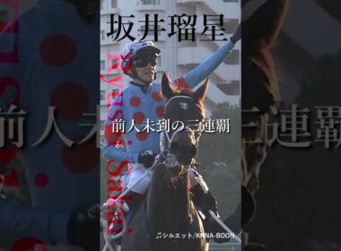 競馬 チャンピオンズカップ～シルエット～  #競馬