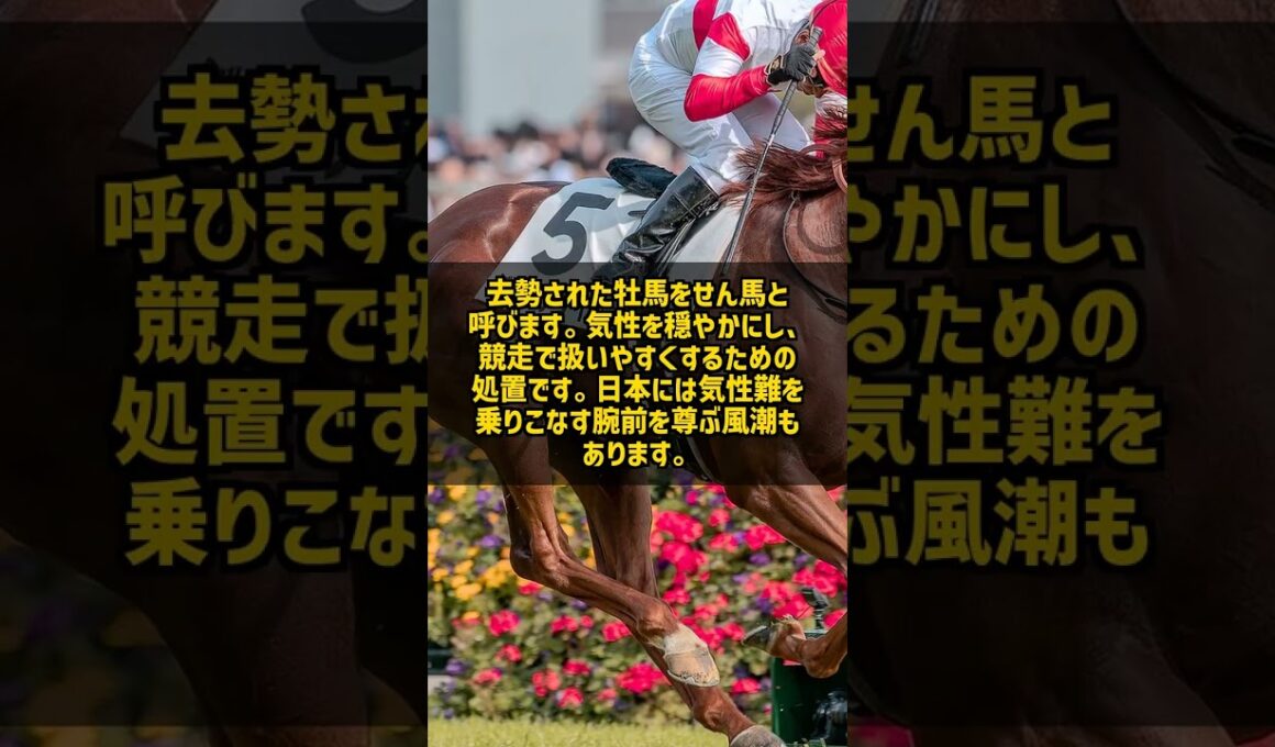 気性難で去勢された馬がダービーに出られない本当の理由 #Shorts