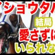 【メイショウタバル】〜アカン！愛させられてまう！！〜