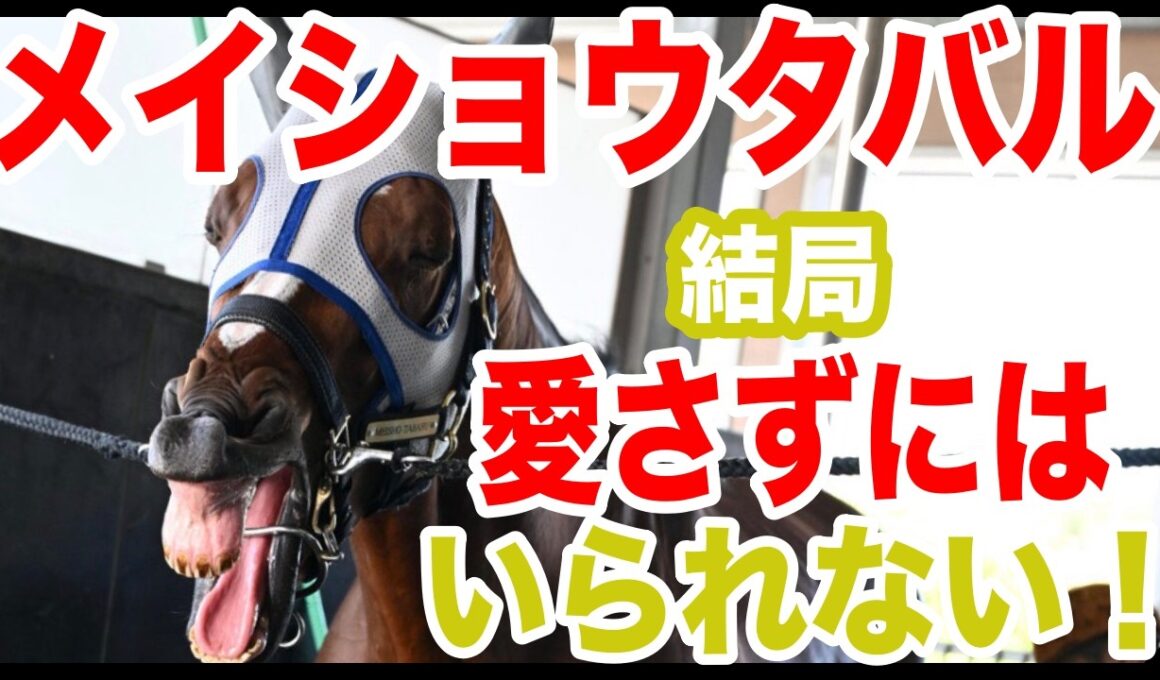【メイショウタバル】〜アカン！愛させられてまう！！〜