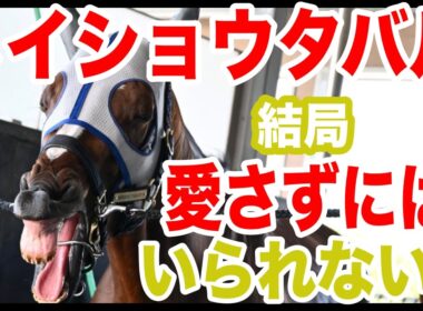 【メイショウタバル】〜アカン！愛させられてまう！！〜