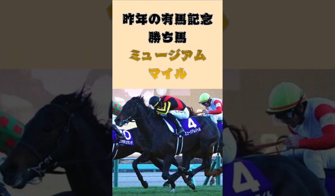 昨年の有馬記念勝ち馬ミュージアムマイルが右前脚膝部分をクリーニング処置へ