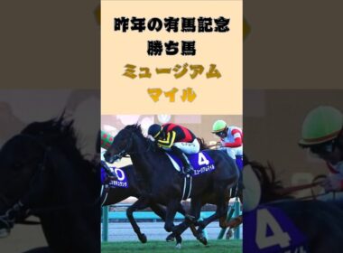 昨年の有馬記念勝ち馬ミュージアムマイルが右前脚膝部分をクリーニング処置へ