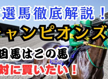 【チャンピオンズカップ2025】絶対買いたい注目馬について解説！