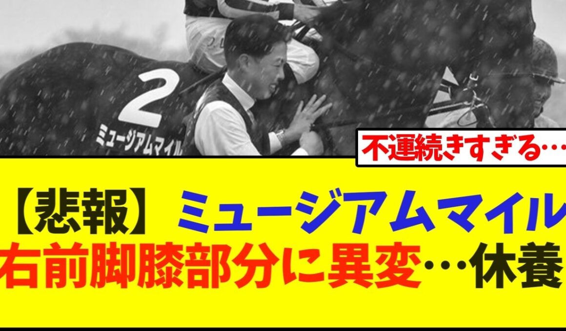 【悲報】ミュージアムマイルが右前脚膝部分に異変…休養【競馬】