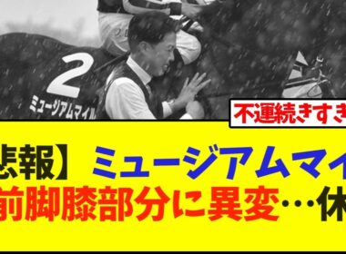 【悲報】ミュージアムマイルが右前脚膝部分に異変…休養【競馬】