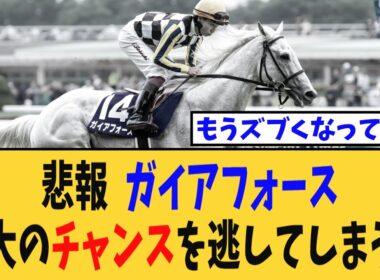 【安田記念】ガイアフォース、またしてもGI2着…最大のチャンスを逃してしまう…【競馬反応集】