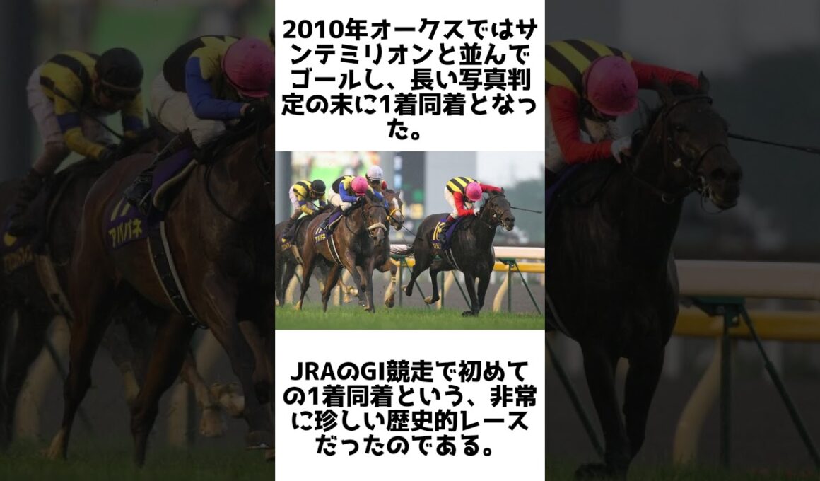 赤い鳥の三冠牝馬！アパパネの雑学5選 #1分雑学 #競馬 #shorts #1分雑学 #アパパネ