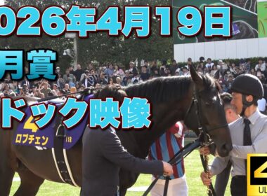 【4K動画】2026年第86回皐月賞パドック【ロブチェン】