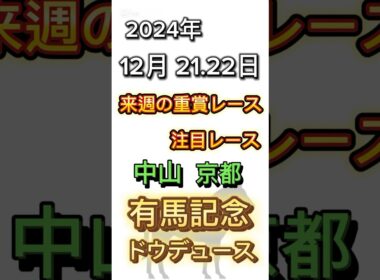 来週の重賞レースです。来週は#中山大障害 #阪神カップ #有馬記念 が行われます。特に有馬記念では#ドウデュース や#ダノンデサイル などが出走予定‼️‼️‼️#有馬記念2024 #競馬 #競馬予想