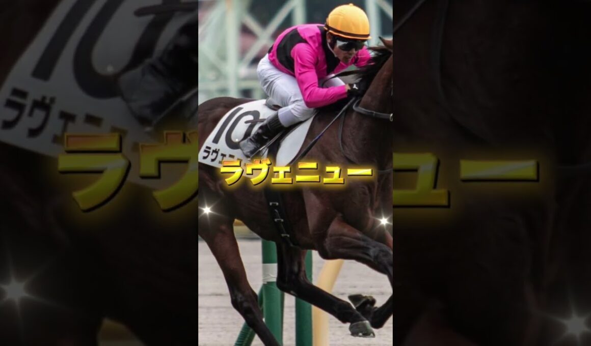G1ホープフルSの注目馬を3頭紹介＃競馬＃競馬予想＃アンドゥーリル＃ラヴェニュー＃ショウナンガルフ