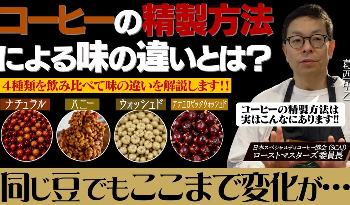 【検証】コーヒーの味は精製方法で決まる？ナチュラル、ハニー、ウォッシュド、アナエロビックを飲み比べてみた結果...