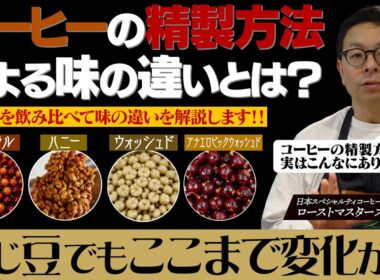 【検証】コーヒーの味は精製方法で決まる？ナチュラル、ハニー、ウォッシュド、アナエロビックを飲み比べてみた結果...