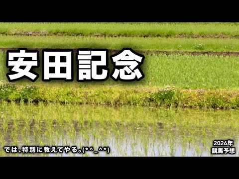 安田記念2026【競馬予想】