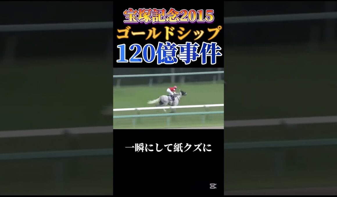 【大事件】120億円が走り去った日。ゴールドシップの投資劇#競馬#競艇#競輪#ギャンブル#宝塚記念#ゴールドシップ
