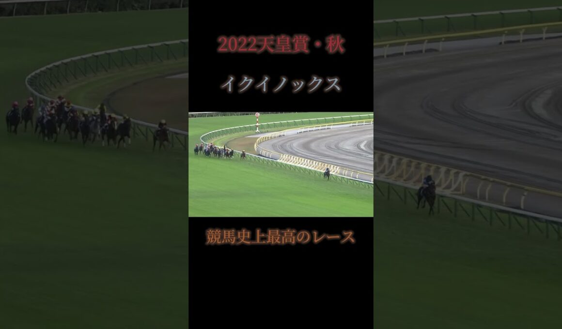 イクイノックス天皇賞・秋 #競馬 #jra
