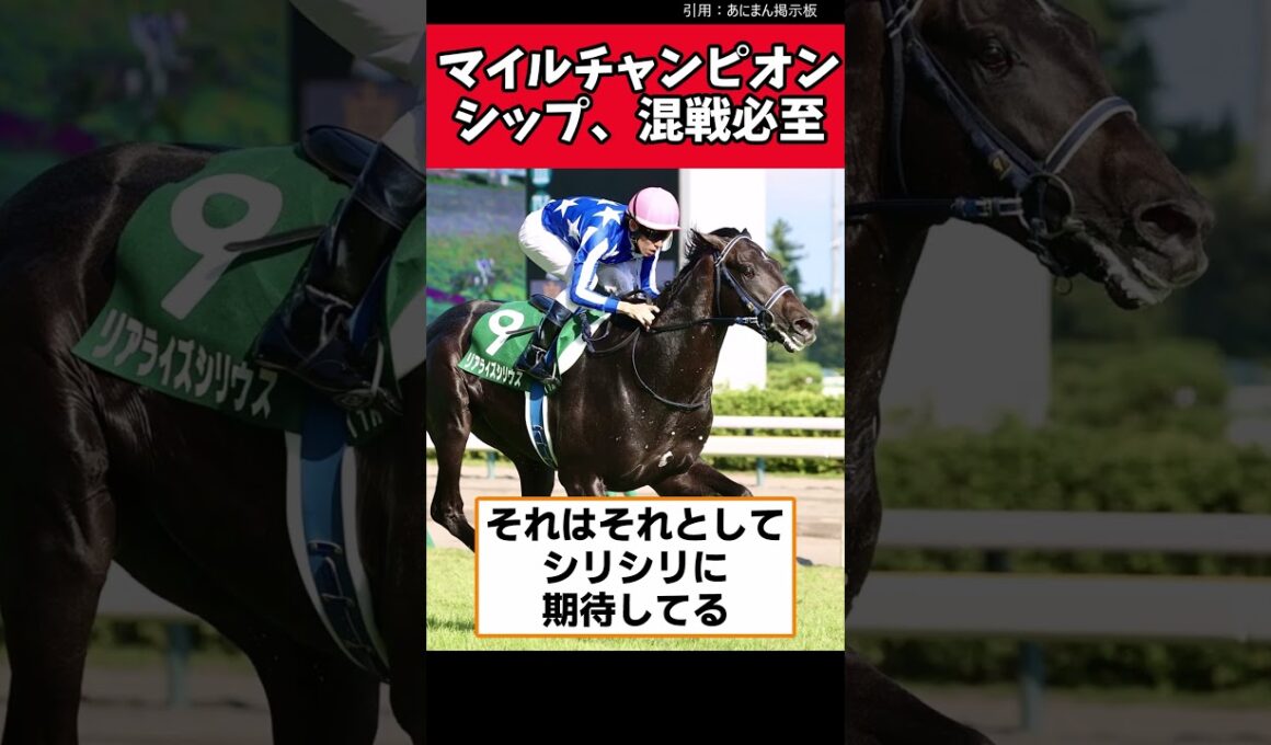 マイルチャンピオンシップ、混戦必至【競馬反応集】　 #競馬