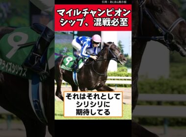 マイルチャンピオンシップ、混戦必至【競馬反応集】　 #競馬