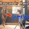 【アドマイヤジャパン】Japan is Cool ！？55選