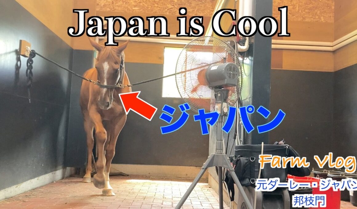 【アドマイヤジャパン】Japan is Cool ！？55選