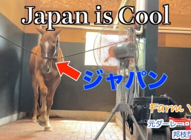 【アドマイヤジャパン】Japan is Cool ！？55選