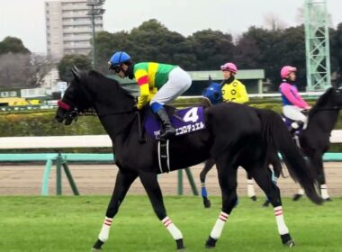 中山大障害の本馬場入場