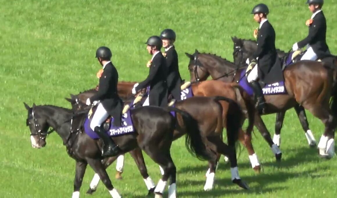 【中山グランドジャンプ2026】本馬場入場でサンデイビスが嫌がる 現地映像 エコロデュエル