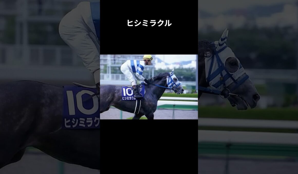 【奇跡の馬】ヒシミラクル　奇跡はロングスパートから#ヒシミラクル #角田晃一 #競馬 #shorts #宝塚記念 #菊花賞　#天皇賞 #ヒシミラクルおじさん　#ウマ娘 #四国めたん