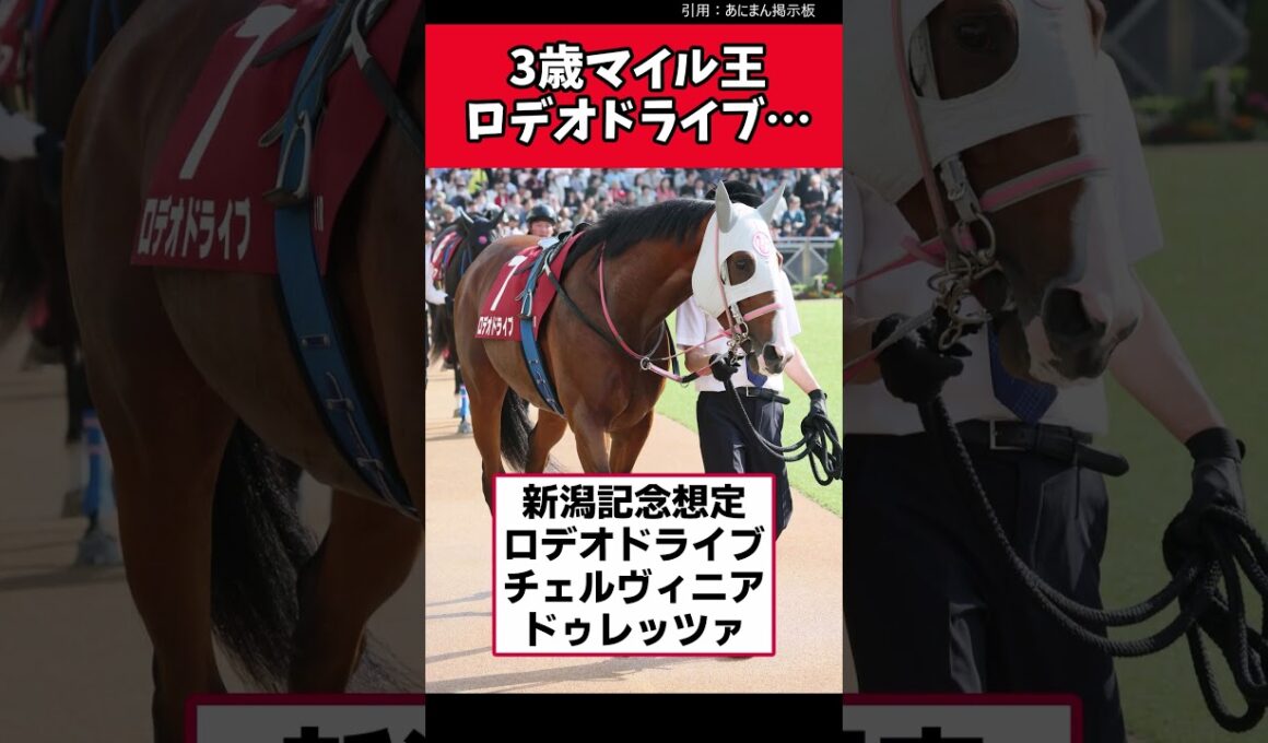 3歳マイル王ロデオドライブ…【競馬反応集】　#ロデオドライブ　#新潟記念