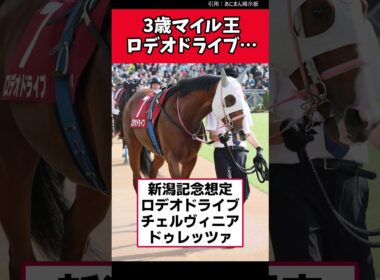 3歳マイル王ロデオドライブ…【競馬反応集】　#ロデオドライブ　#新潟記念