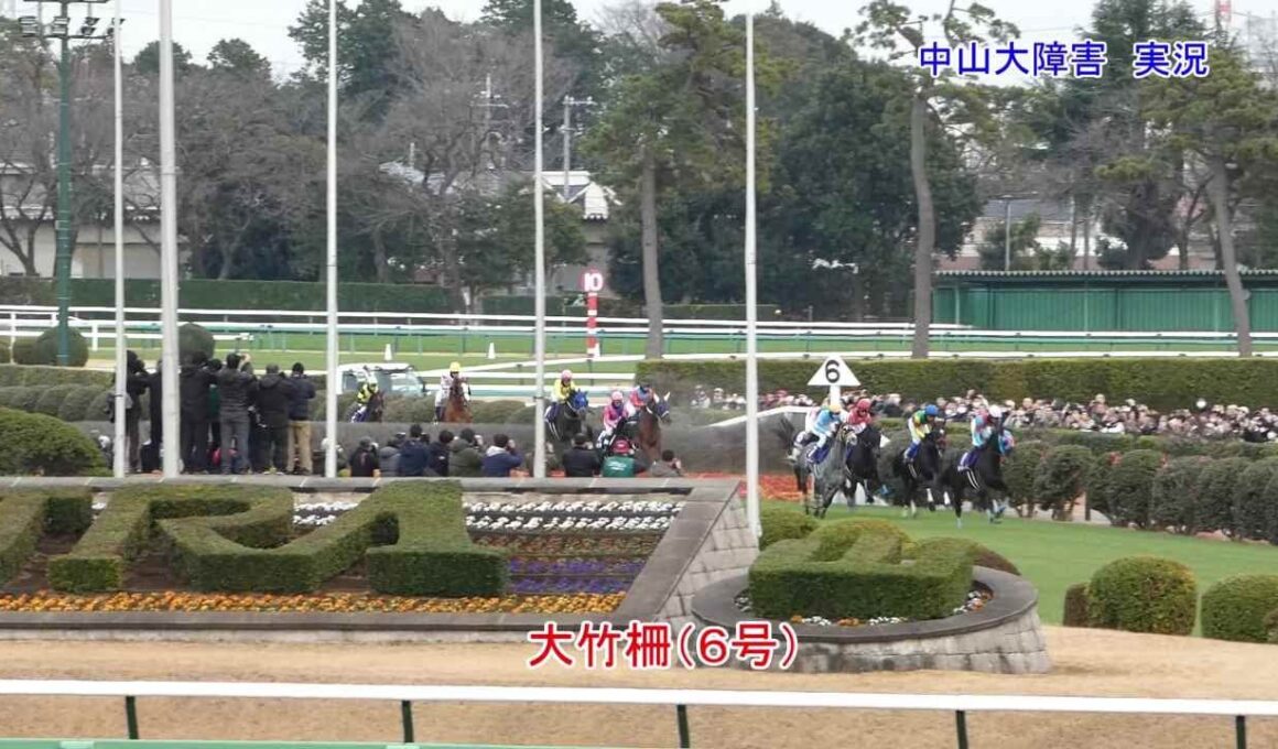 現地実況2025中山大障害とホープフルS