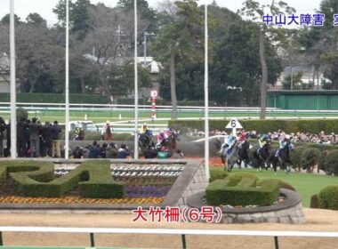 現地実況2025中山大障害とホープフルS