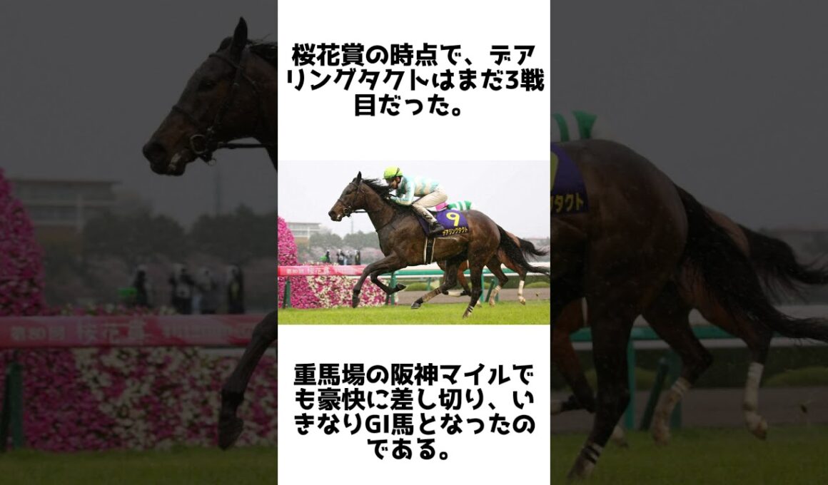 史上初の無敗三冠牝馬！デアリングタクトの雑学5選 #1分雑学 #競馬 #shorts #1分雑学 #デアリングタクト