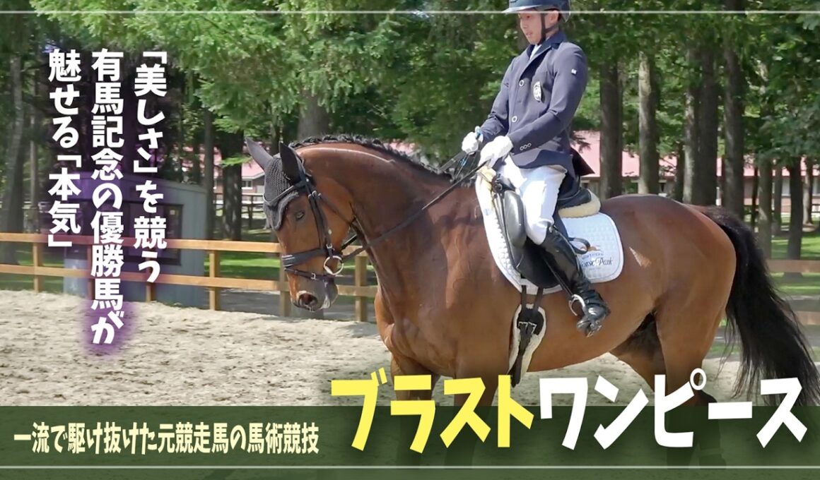 【ブラストワンピース】美しさを競い合う！これぞ「有馬記念」覇者の本気【第61回北海道春季馬術大会】
