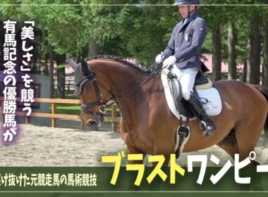 【ブラストワンピース】美しさを競い合う！これぞ「有馬記念」覇者の本気【第61回北海道春季馬術大会】