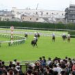 宝塚記念記念の裏側で行われていたパラダイスSの最後の長い直線シーン。　　#競馬　#東京競馬場　#horse