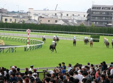宝塚記念記念の裏側で行われていたパラダイスSの最後の長い直線シーン。　　#競馬　#東京競馬場　#horse