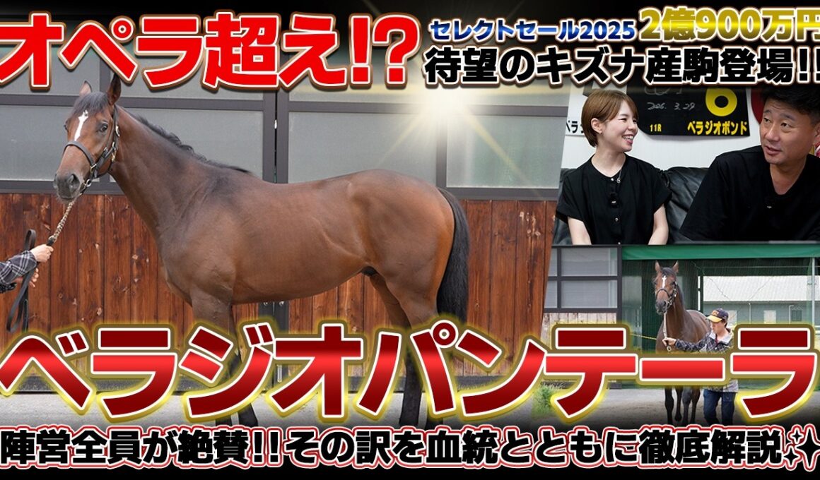 「ベラジオパンテーラ」ベラジオオペラを超えるか!? 2億超えの最高級キズナ産駒がまもなくデビュー！血統徹底解説【ベラジオch】