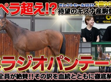 「ベラジオパンテーラ」ベラジオオペラを超えるか!? 2億超えの最高級キズナ産駒がまもなくデビュー！血統徹底解説【ベラジオch】