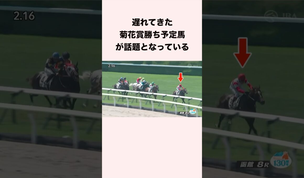 遅れてきた菊花賞勝ち予定馬？が話題となっている #競馬 #競馬予想 #shorts