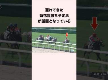 遅れてきた菊花賞勝ち予定馬？が話題となっている #競馬 #競馬予想 #shorts