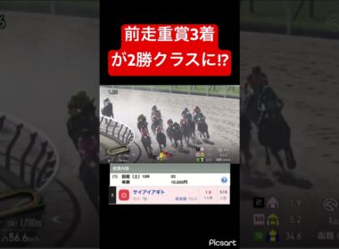 【圧倒的格上】前走重賞3着だった馬が2勝クラスで負けるわけないだろ #競馬